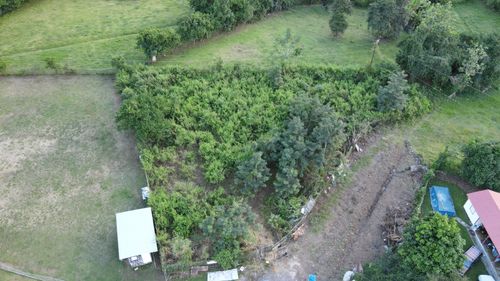 730 Km.0.5 Maton Abajo, Cayey, PR, 00736 | Card Image