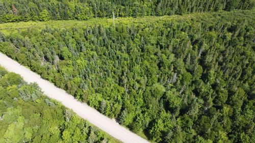 Lot 1 Calabash Rd, Boularderie Center, NS, B1X | Card Image