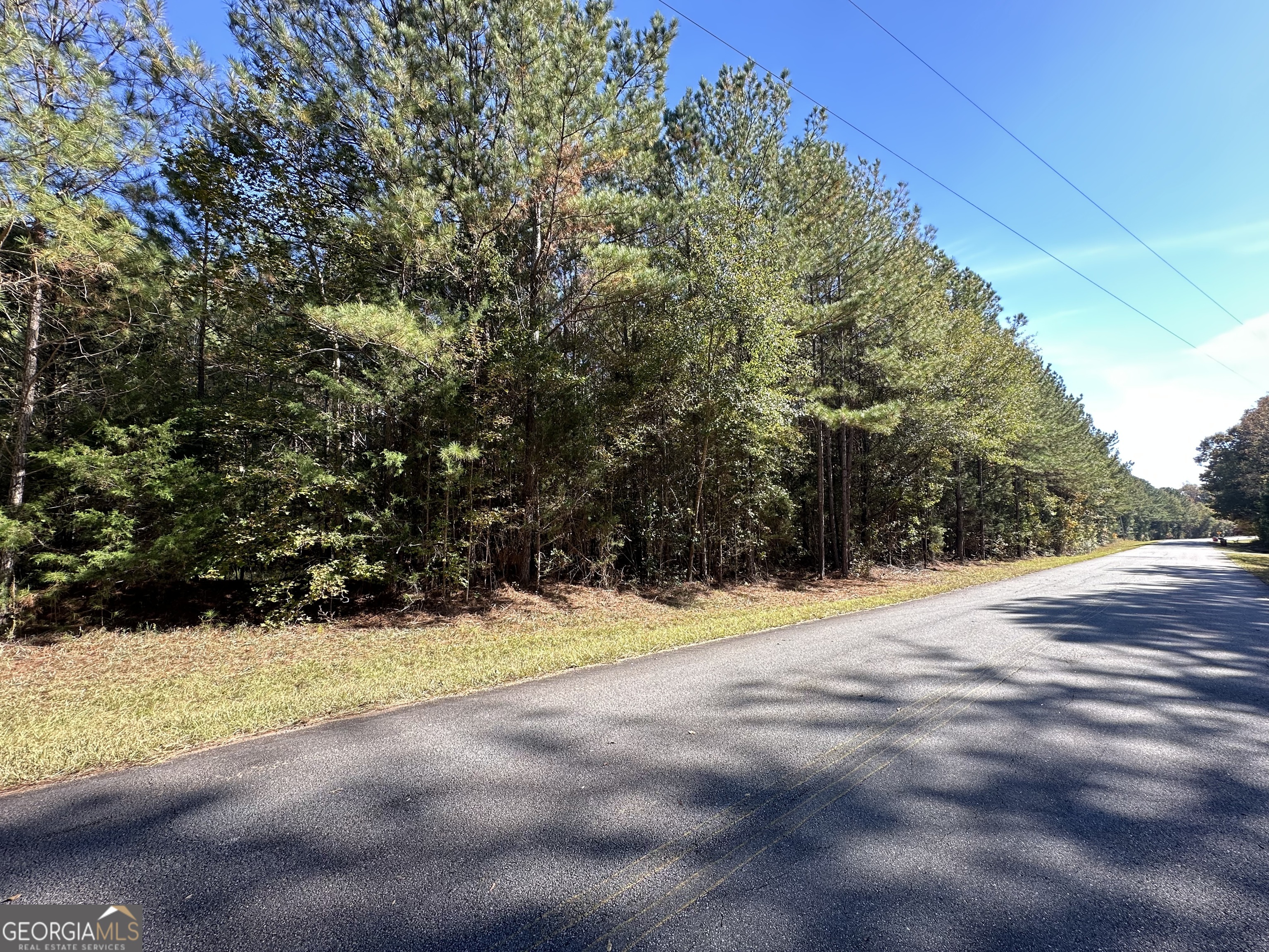 Land in Lincolnton 4