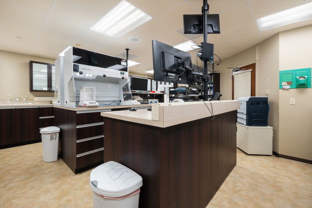 Commercial Lease in Naperville 2