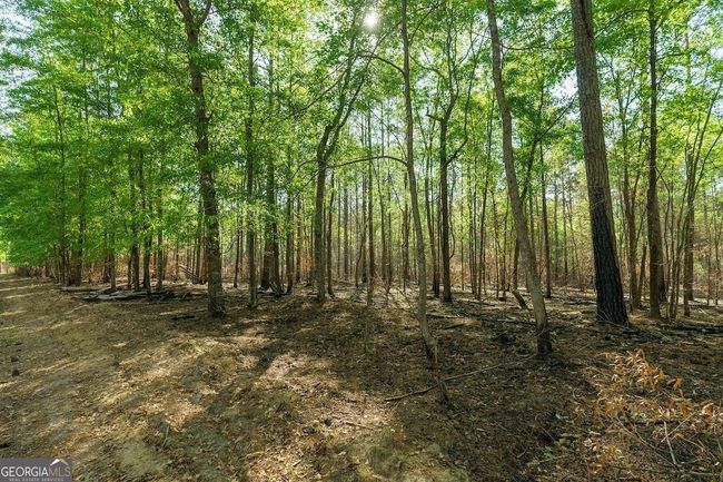 6053 Sun Hill Grange Rd, Home with 0 bedrooms, 0 bathrooms and null parking in Davisboro GA | Image 5