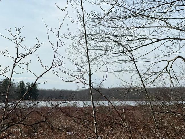 2 Acre Parcel with Lake Rights and Views | Image 18