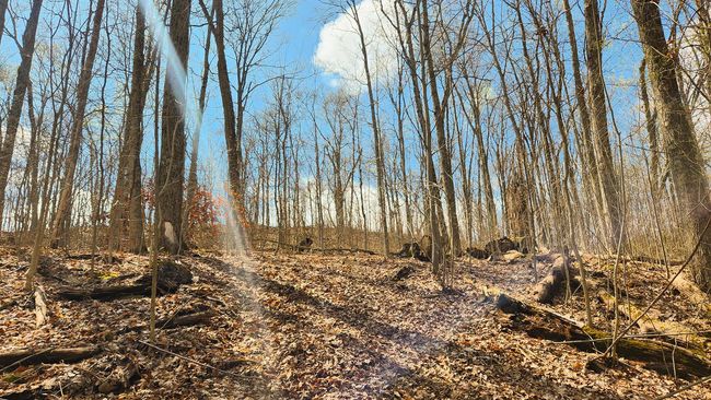 TRACT-2-PIKE-LAKE-GETAWA - 0 Pike Lake Rd, Home with 0 bedrooms, 0 bathrooms and null parking in Bainbridge OH | Image 29