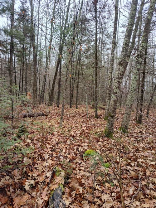 ON Lake Rd, Rhinelander, WI, 54501 | Card Image