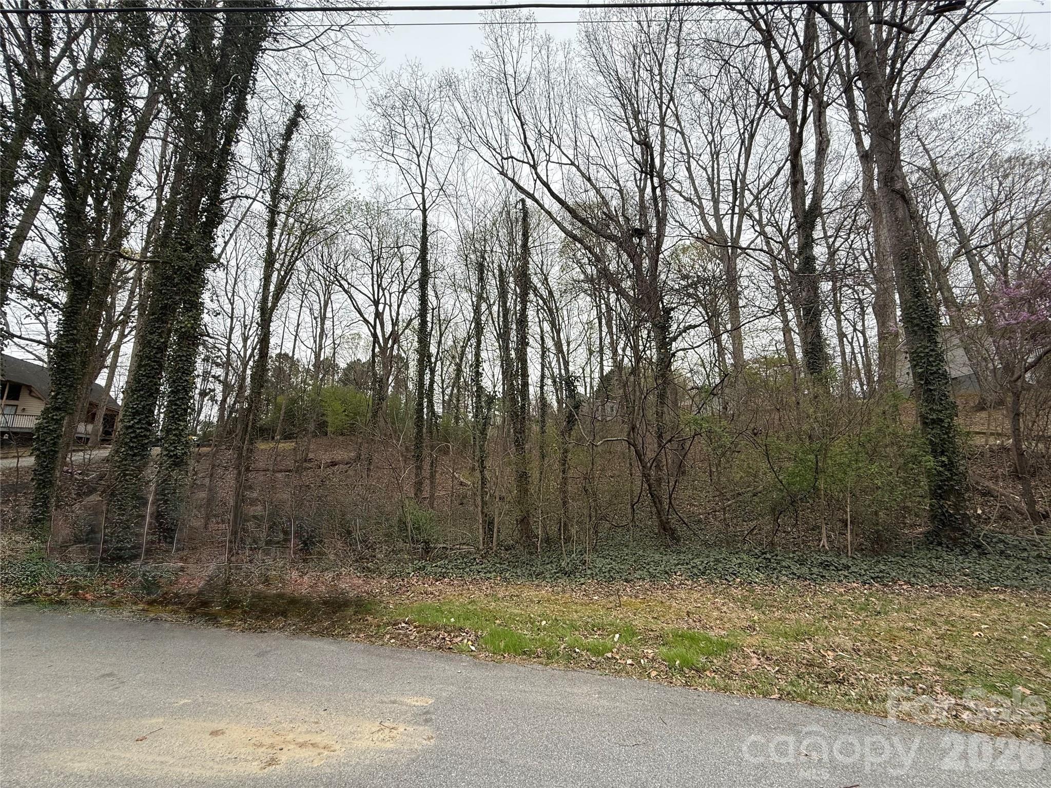 Land in Thomasville 5