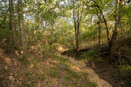 438 Firefly Field Lane, Seguin, TX, 78155 | Card Image