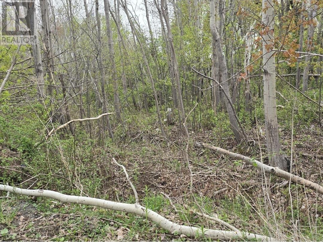 Land in Trenton 2
