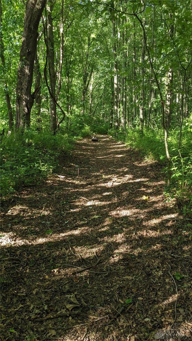 Land in Bethel Twp 4