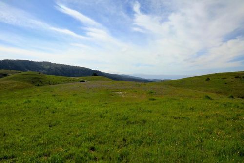 1 Penon Peak Trl, Carmel, CA, 93923 | Card Image