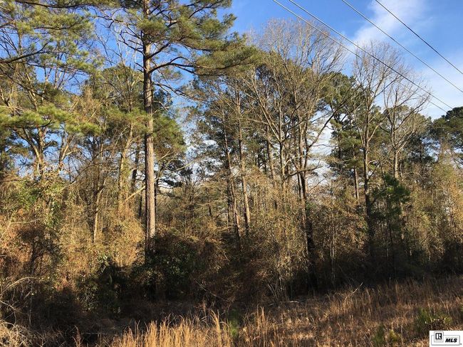 000 Highway 15, Home with 0 bedrooms, 0 bathrooms and null parking in Downsville LA | Image 18