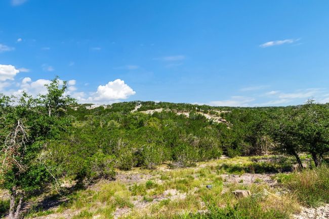 472 Stallion Estates Dr, Home with 0 bedrooms, 0 bathrooms and null parking in Spring Branch TX | Image 4