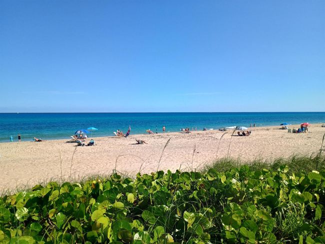 APT-6-105 - 5505 N Ocean Blvd, Condo with 2 bedrooms, 2 bathrooms and null parking in Ocean Ridge FL | Image 8