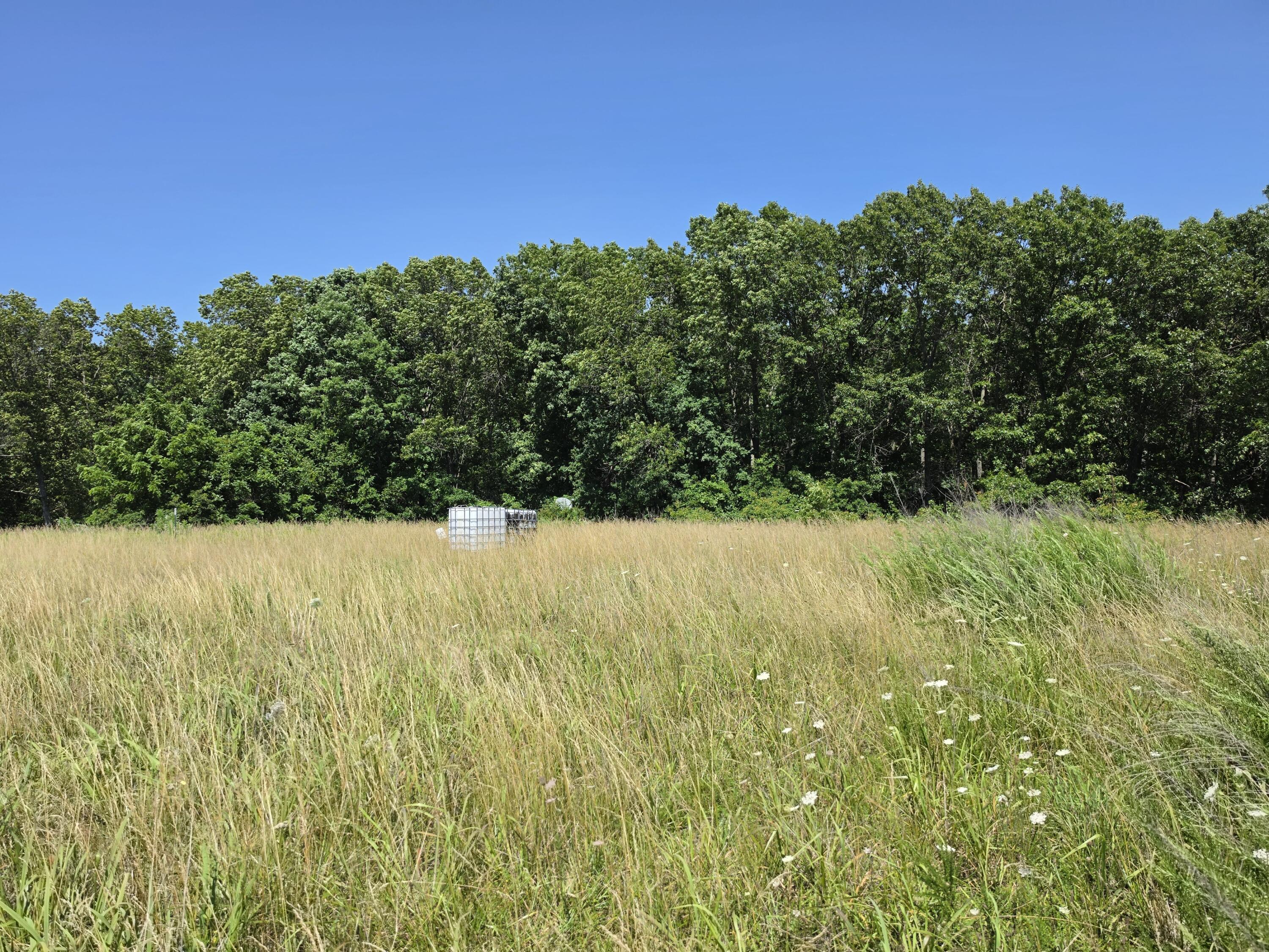 Land in Fordland 2