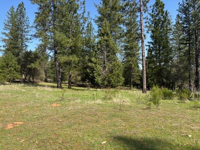 19292 Shawnee Trl, Home with 0 bedrooms, 0 bathrooms and null parking in Mokelumne Hill CA | Image 70