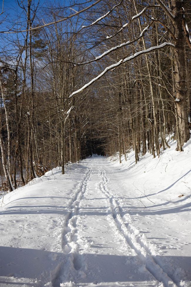 5000 Route 106, Home with 0 bedrooms, 0 bathrooms and null parking in Reading VT | Image 10