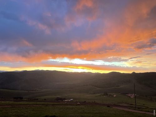 132 Sheep Mountain Ct, Livermore, CO, 80536-9518 | Card Image