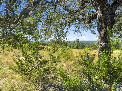 820 Stone Ridge Mountain Dr, Round Mountain, TX, 78663-5127 | Card Image