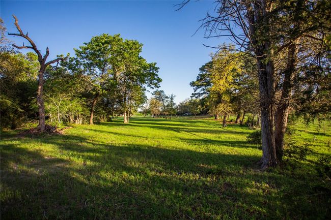 View of green lawn | Image 21