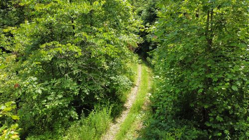 00 TBD Long Shoal Rd, Beattyville, KY, 41311 | Card Image