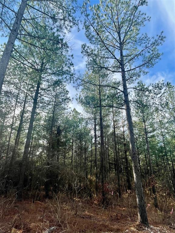 Land in Broken Bow 3