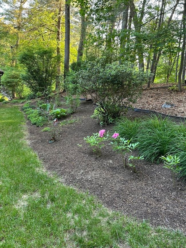 369 Border Rd, House other with 4 bedrooms, 4 bathrooms and 6 parking in Concord MA | Image 38