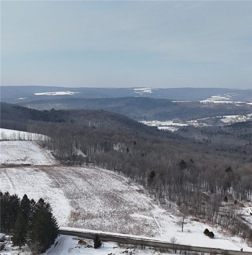 55 Kimble Rd, Beaver Dams, NY, 14812-9135 | Card Image