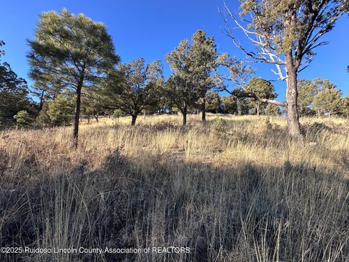 108 Nottingham Rd, Ruidoso, NM, 88345-9293 | Card Image