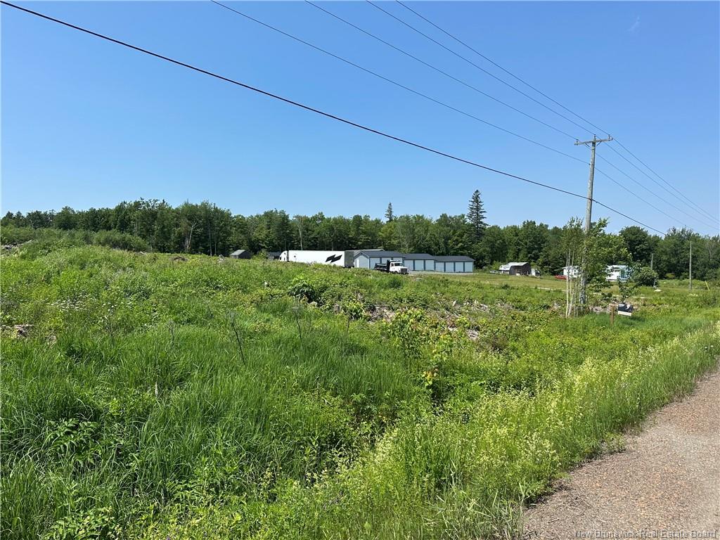 Land in Hamtown Corner