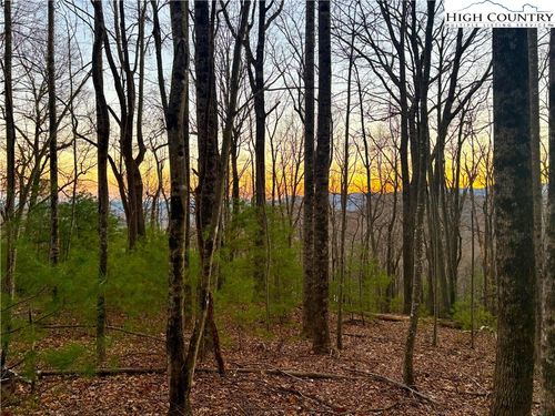 TBD - Lot 24 Ben Miller Road, Deep Gap, NC, 28618 | Card Image