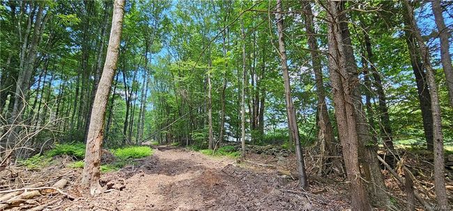 Lot 81.4 County Road 114, Home with 0 bedrooms, 0 bathrooms and null parking in Cochecton NY | Image 12