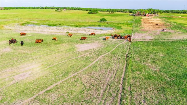00 Fm 534 & Fm 3162, Home with 0 bedrooms, 0 bathrooms and null parking in Sandia TX | Image 16