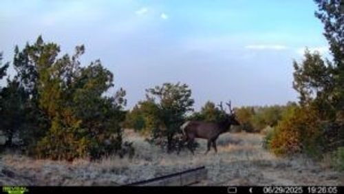 83 Bear Valley Rd, Ramah, NM, 87357-0650 | Card Image