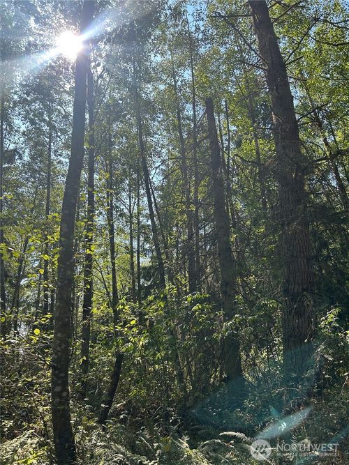 0 xxx Forest View Ln, Greenbank, WA, 98253 | Card Image