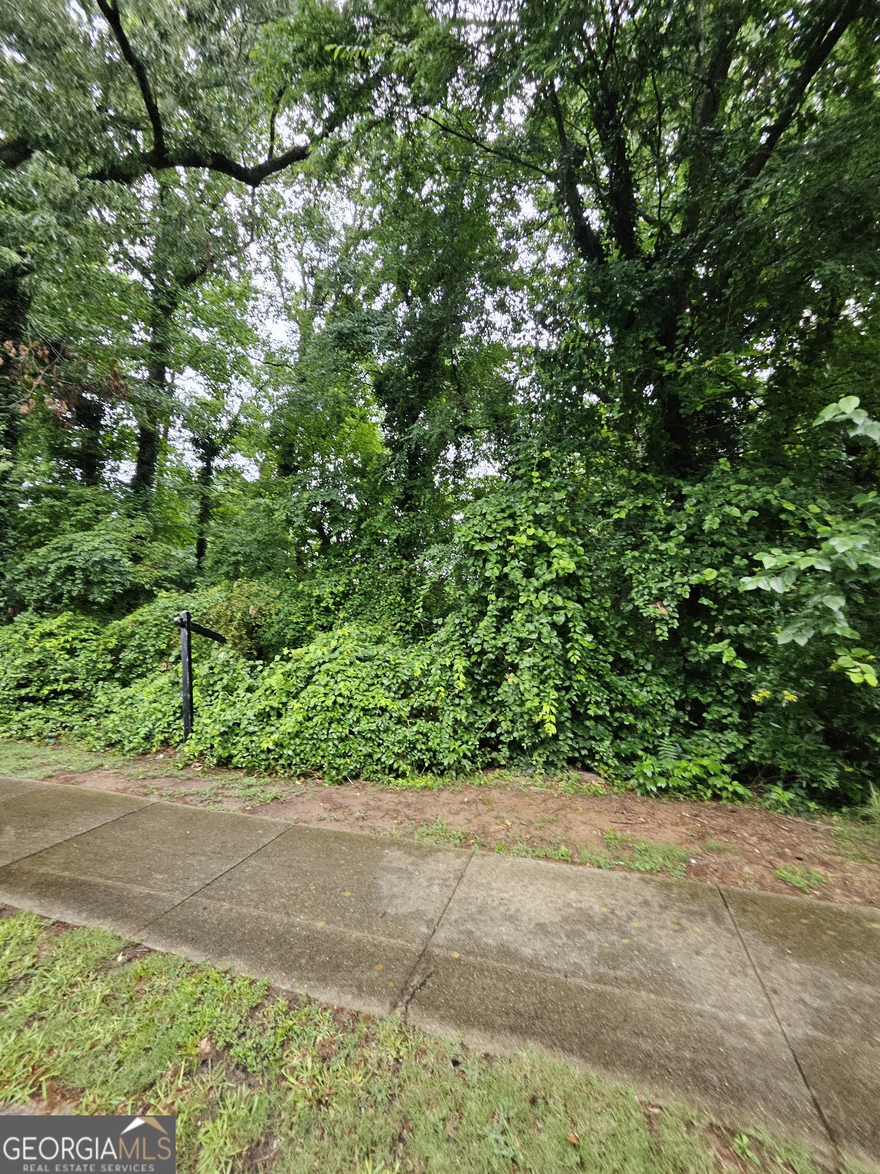 Land in Decatur 3