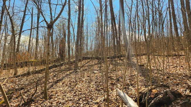 TRACT-2-PIKE-LAKE-GETAWA - 0 Pike Lake Rd, Home with 0 bedrooms, 0 bathrooms and null parking in Bainbridge OH | Image 27