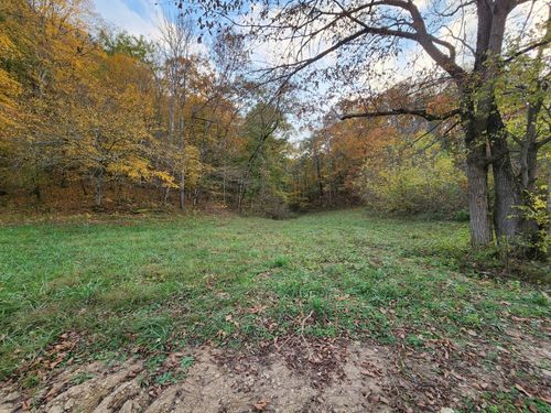 0 Pine Lick Rd, Whitleyville, TN, 38588 | Card Image