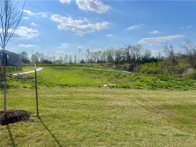 Backs to Greenspace | Image 19