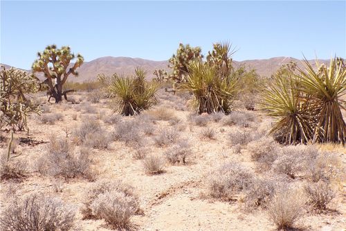 337-05-010 W Spring Drive, Meadview, AZ, 86444 | Card Image