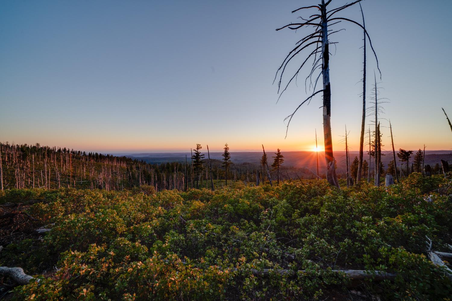 Land in Emigrant Gap 2