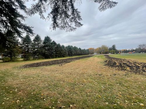 320 Elm St, Tracy, MN, 56175 | Card Image