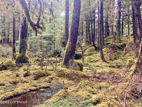 L9B18 S Thorne Bay Rd, Thorne Bay, AK, 99919 | Card Image