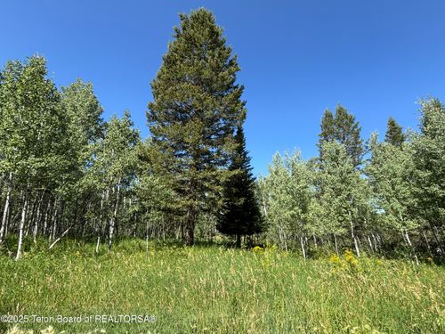 52 W Forest Dr, Star Valley Ranch, WY, 83127 | Card Image
