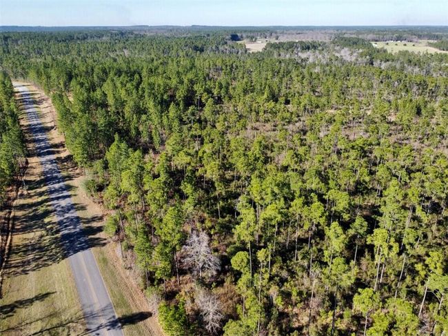 0 Robert White Rd, Home with 0 bedrooms, 0 bathrooms and null parking in Bay Minette AL | Image 14