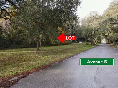 0 Avenue B, Home with 0 bedrooms, 0 bathrooms and null parking in Mc Intosh FL | Image 2