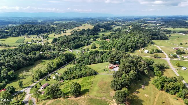 133 Hartmantown Rd, House other with 3 bedrooms, 2 bathrooms and null parking in Jonesborough TN | Image 70