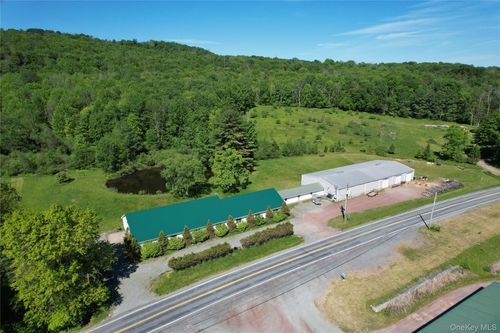 295 Jeffersonville North Branch Rd, Jeffersonville, NY, 12748-5825 | Card Image