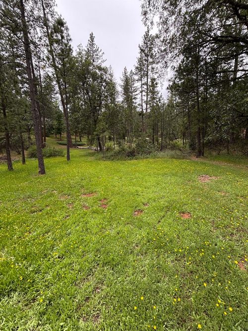 6428 Twin Oaks Ct, Foresthill, CA, 95631-9661 | Card Image