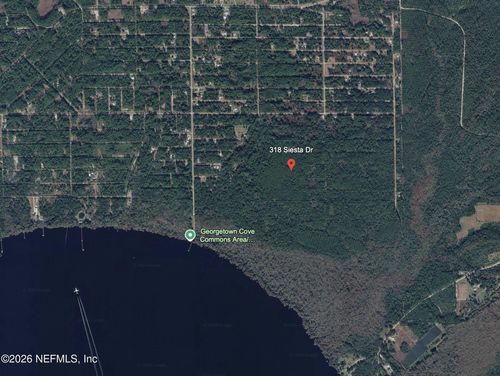 318 Siesta Drive, Georgetown, FL, 32139 | Card Image