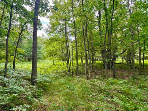 Parcel M Rosted Road, Lake Township, MI, 49651 | Card Image