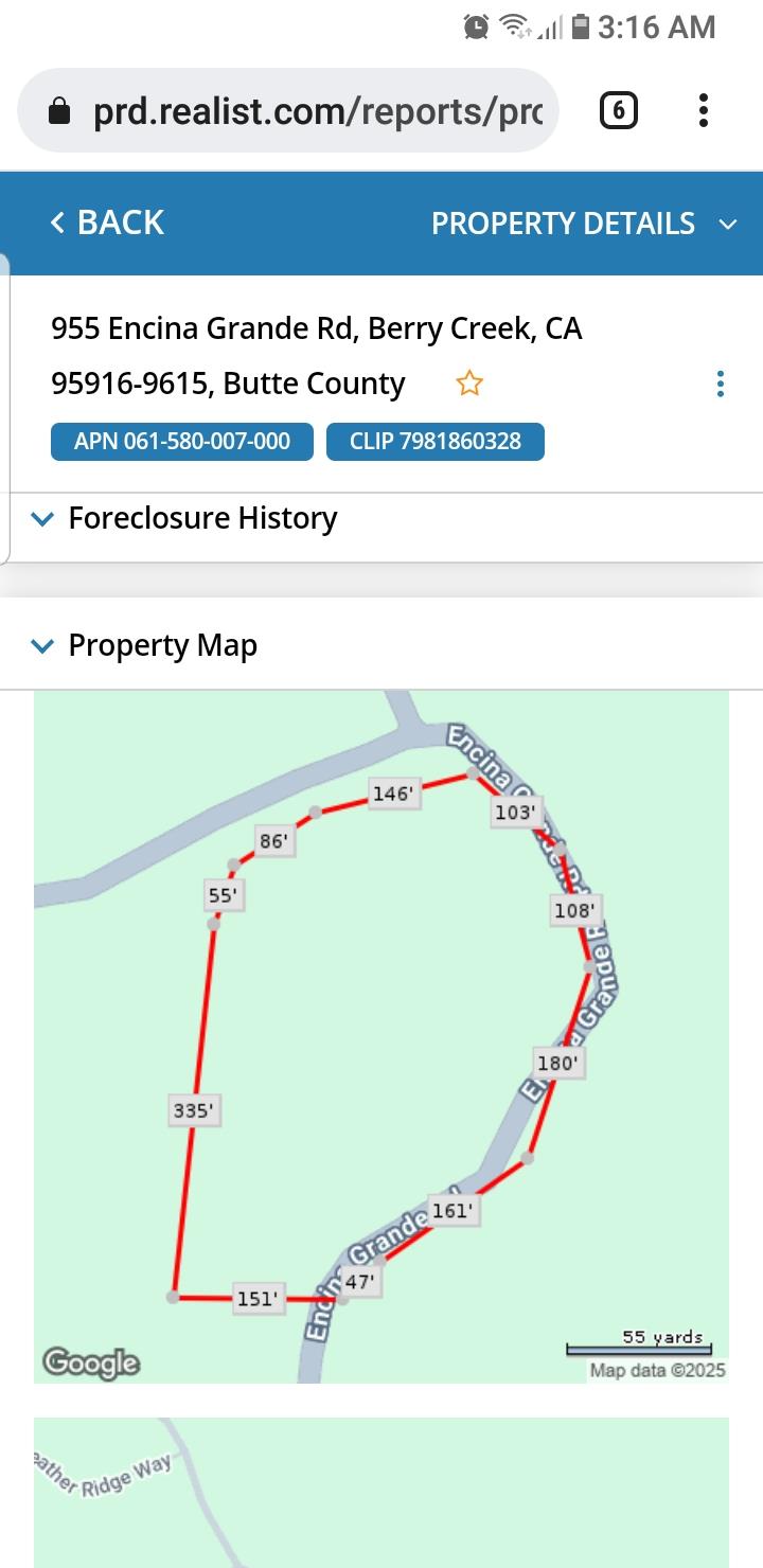 Land in Berry Creek 3